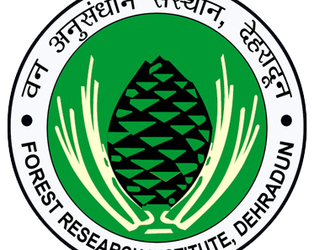 FRI Dehradun Recruitment 2020